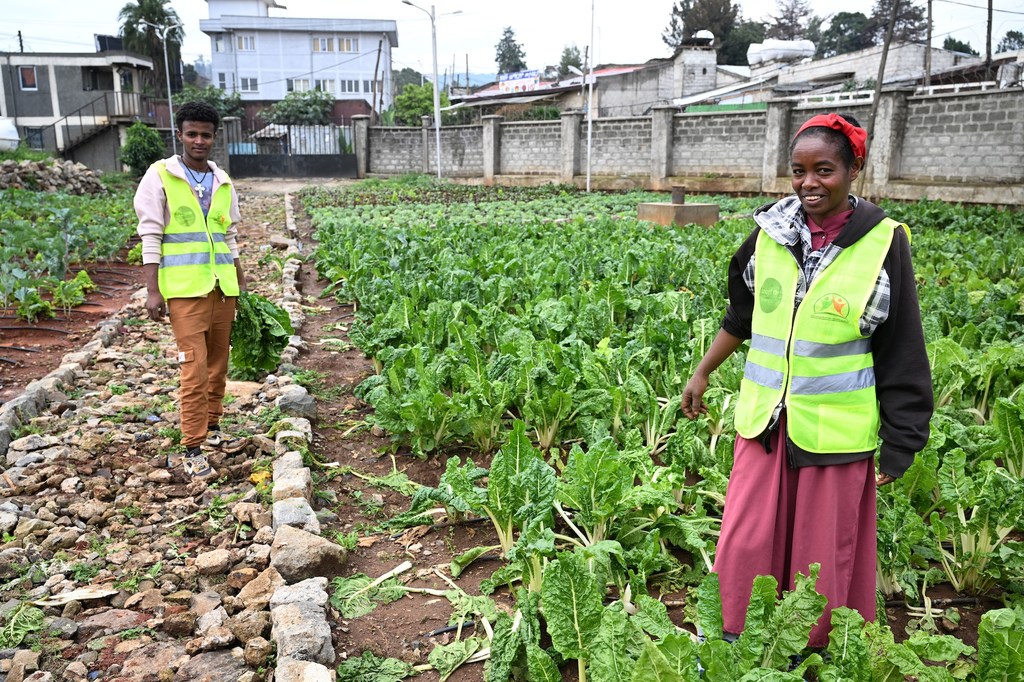 Two young people take part in an urban farming initiative in Addis Ababa, Ethiopia, aimed at providing affordable, nutritious food to local children and adolescents.